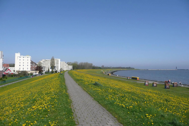 Seehotel Neue Liebe