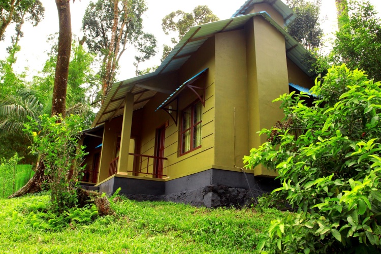 Deluxe Cottage