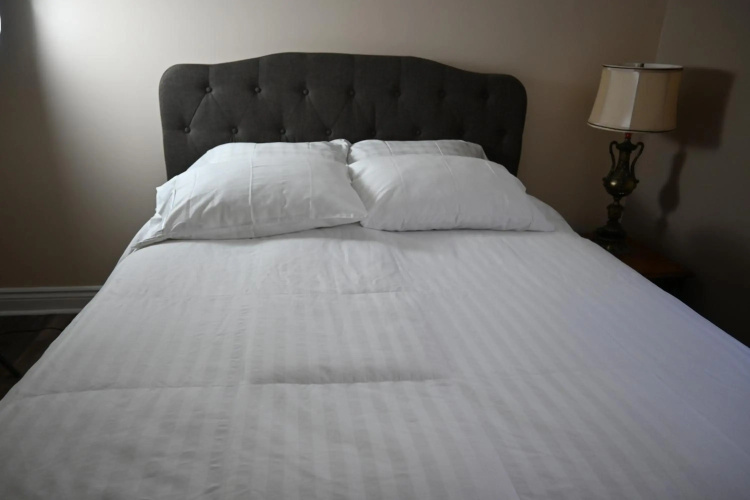 Elgin Suite