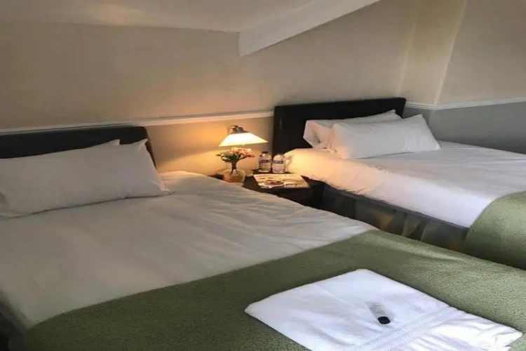 Standard Double room with view