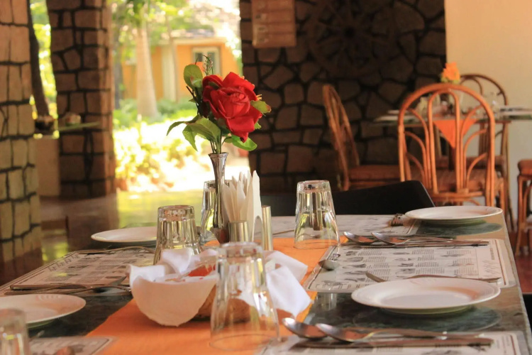 Wild Chalet Resort