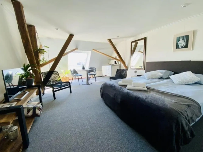 Standard Double room with view