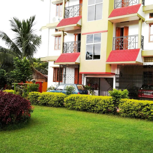 Eagle Nest Home Stay