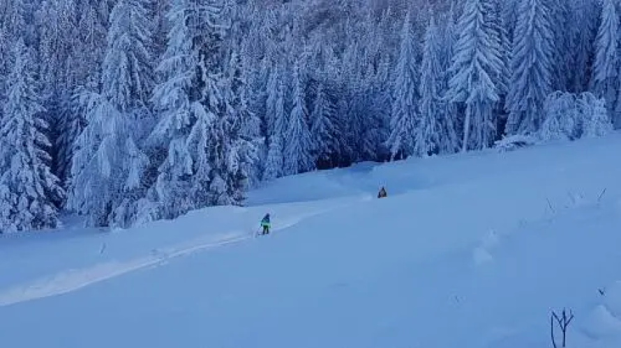 Pensiunea Kyfana