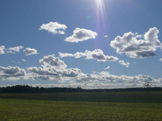 Swedish Idyll