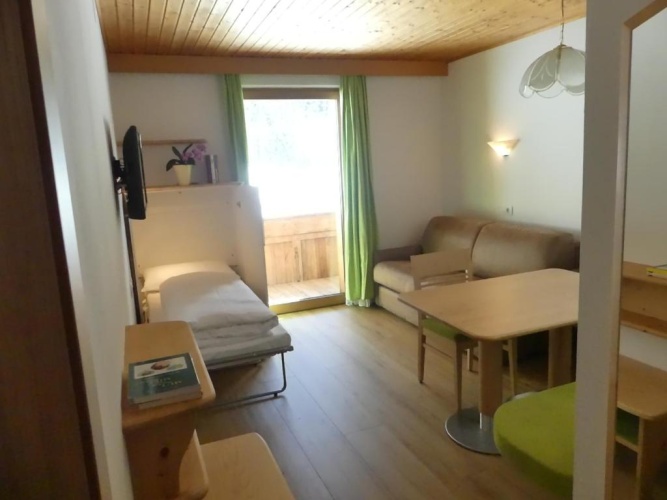 Apartment with garden view