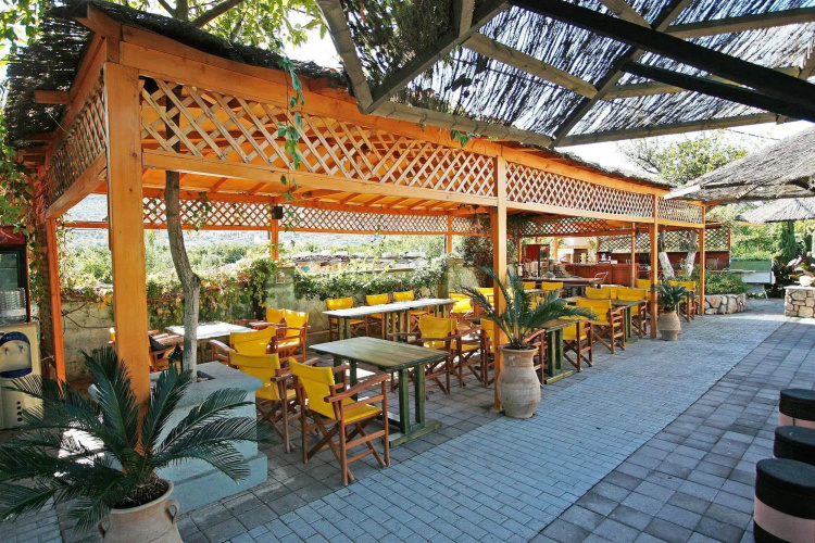 Sunny Garden