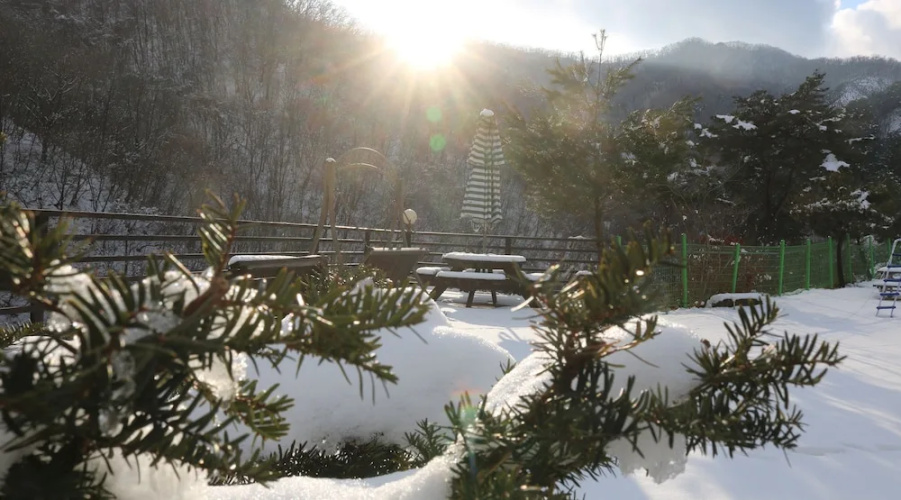 Bandibyeol Pension