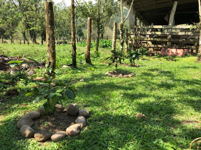Casita el jardin