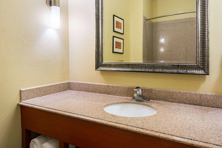 1 Bedroom Suite
