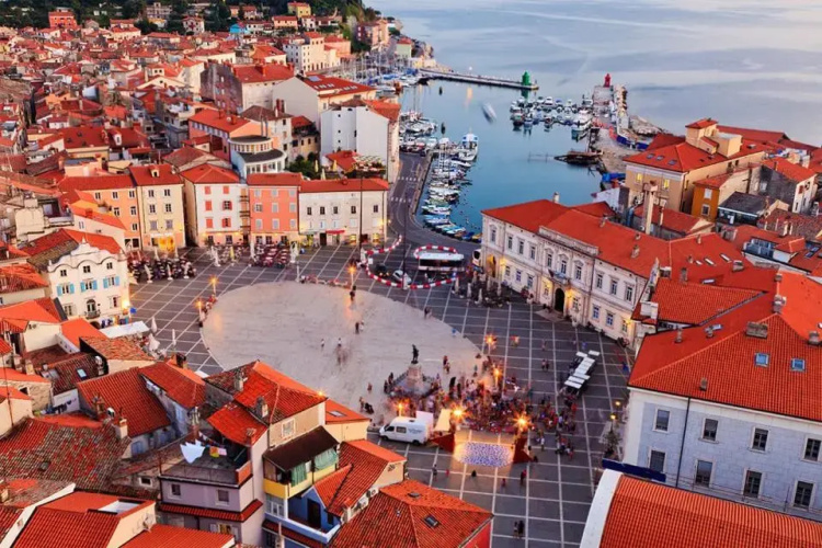 Blue Piran