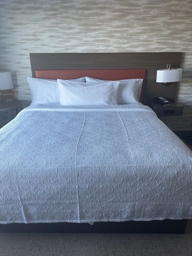 1 Bedroom Suite
