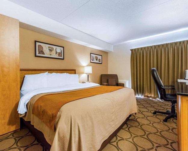 Comfort Inn East