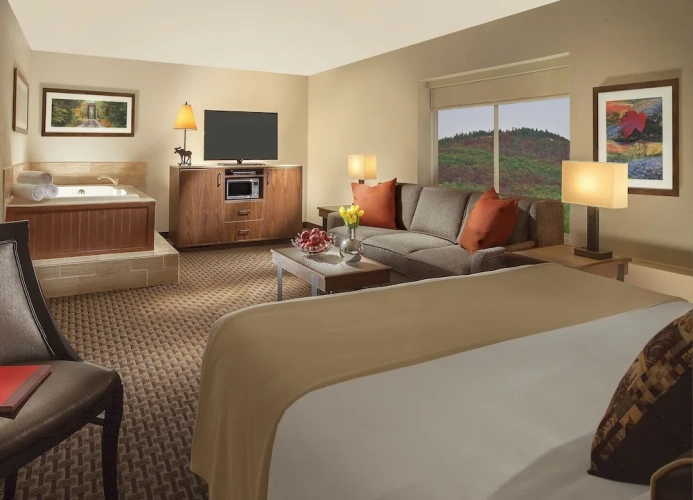 Deluxe room
