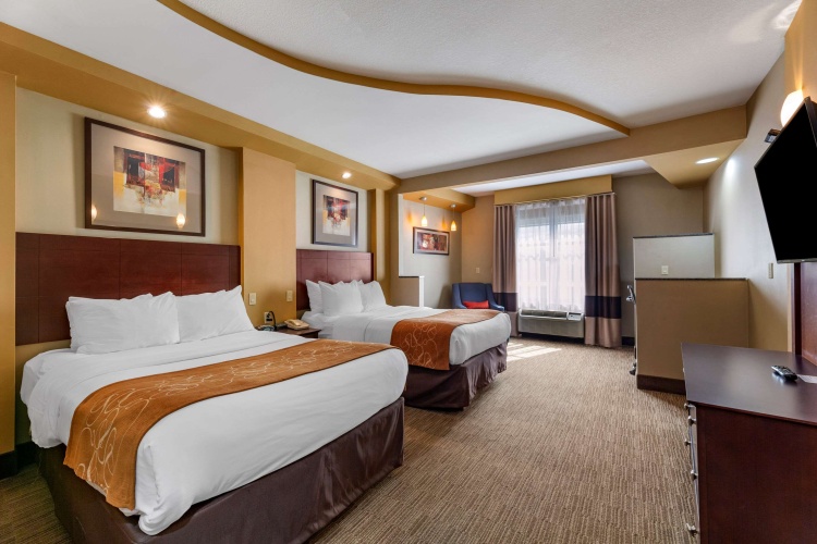 Quadruple Suite