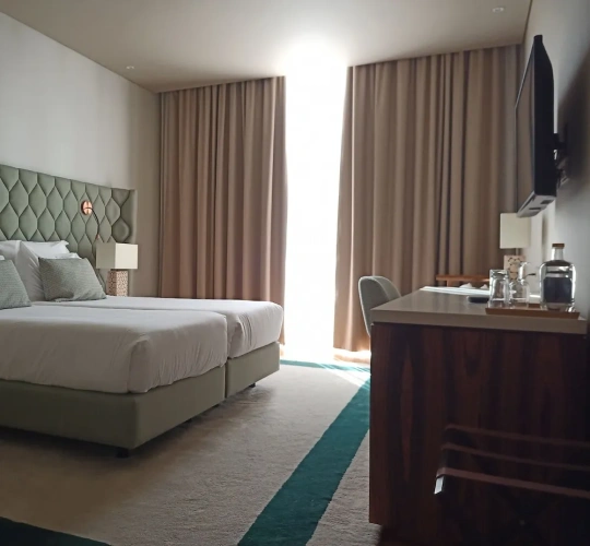 Vineyard View New Wing Twin room