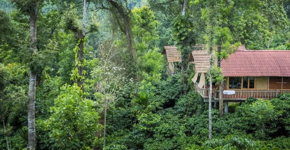 The Coffee County Resorts