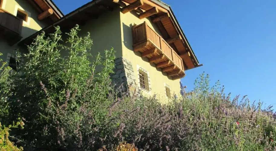 Petite Cerise B&B