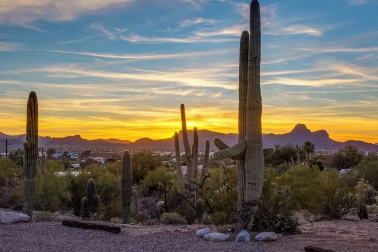 Classy Tucson Escape w/ Fire Pit on 5 Acres!