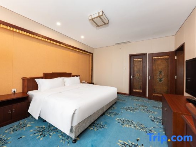 Single Suite