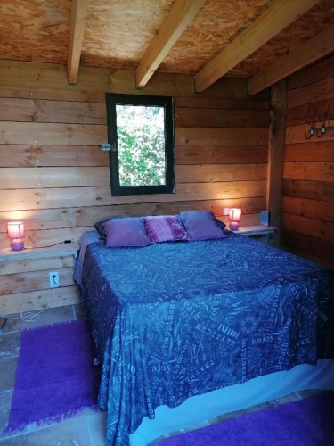 Standard Double room with garden view