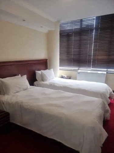 Standard Twin room with city view
