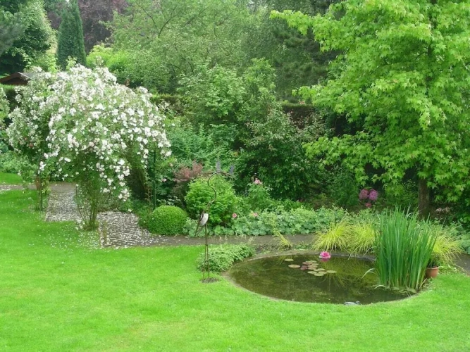 Comfort Double room with garden view