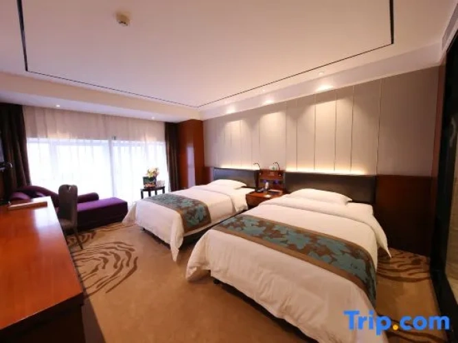 Executive Twin room