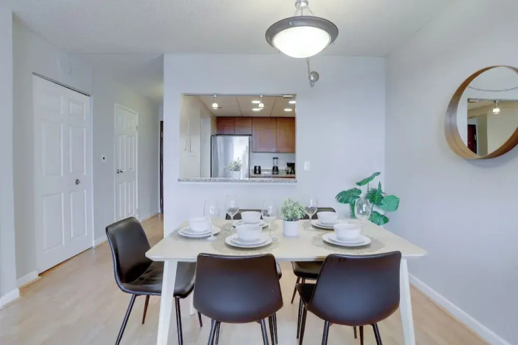 Spacious Apartment at Pentagon City