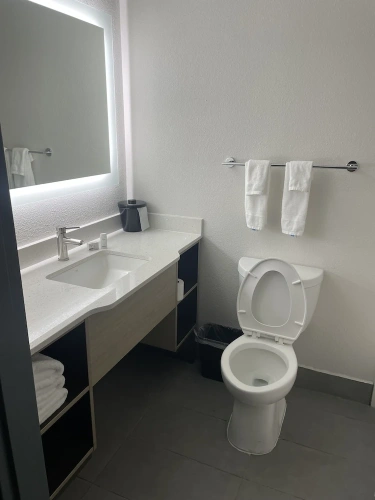1 Bedroom Suite
