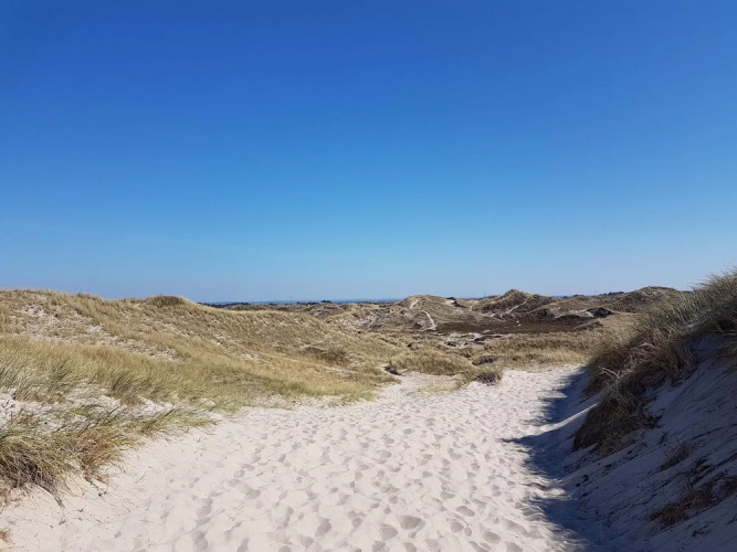 4 Person Holiday Home in Hemmet