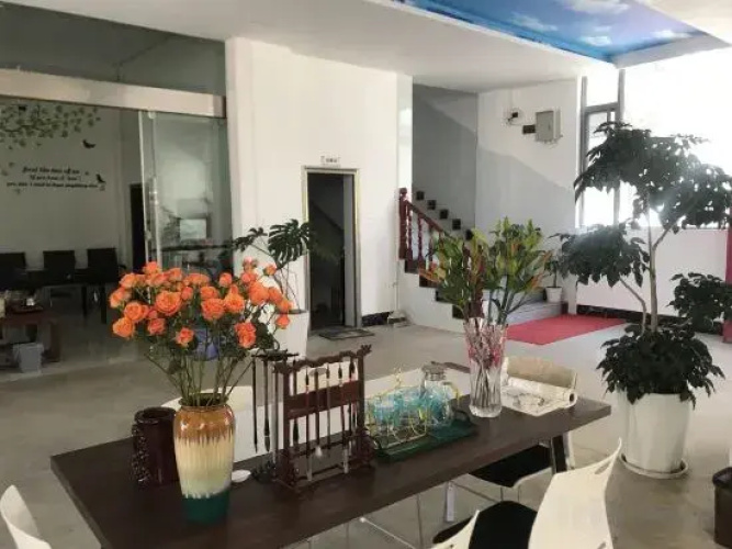 Jia Luo You  Jiu   Dian