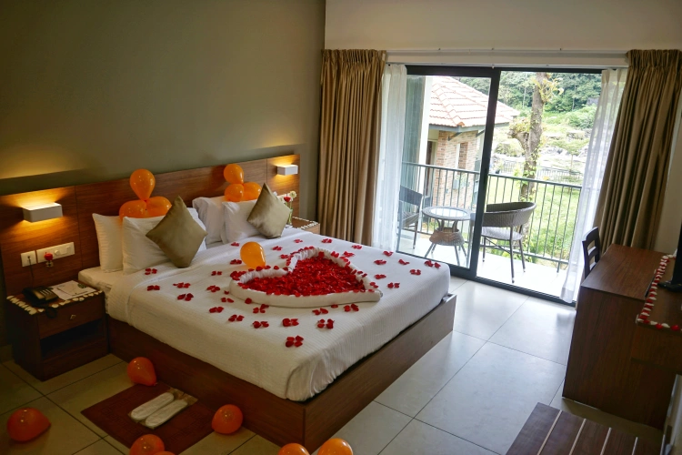 Standard room with balcony and with river view
