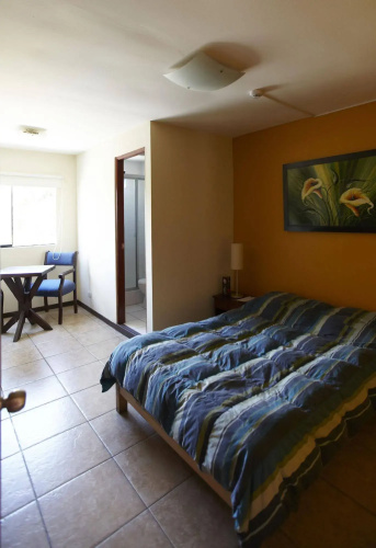 Flying Dog Hostels