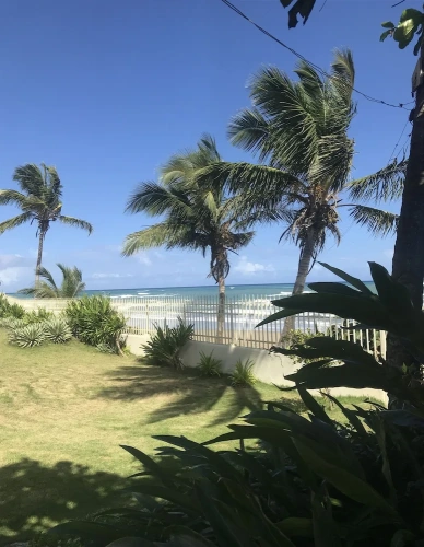 Superior Double Studio beachfront