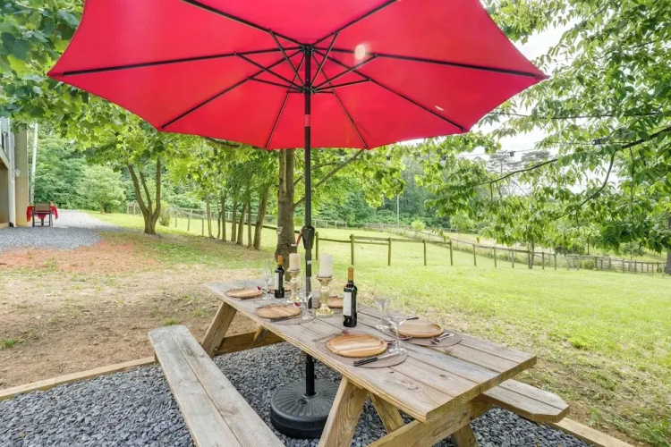 Front Royal Studio w/ Mtn Views & Brick Oven
