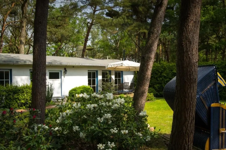 Deluxe Bungalow
