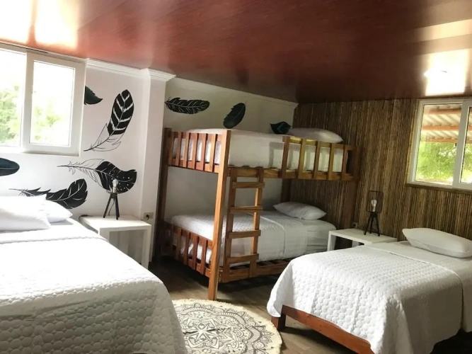 Standard Family room