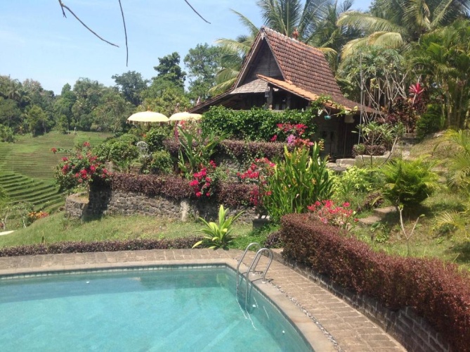 Bungalow with garden view