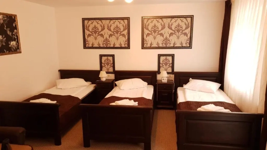 Standard Double room with balcony and with view