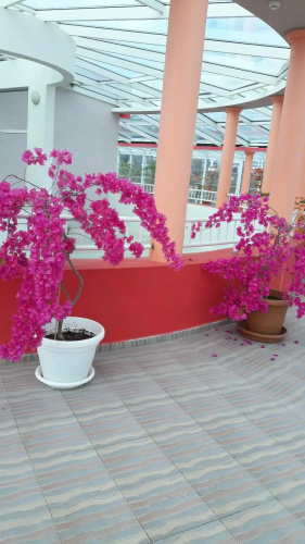 Sirius Beach Hotel & SPA