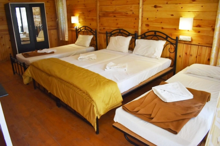Deluxe Family room