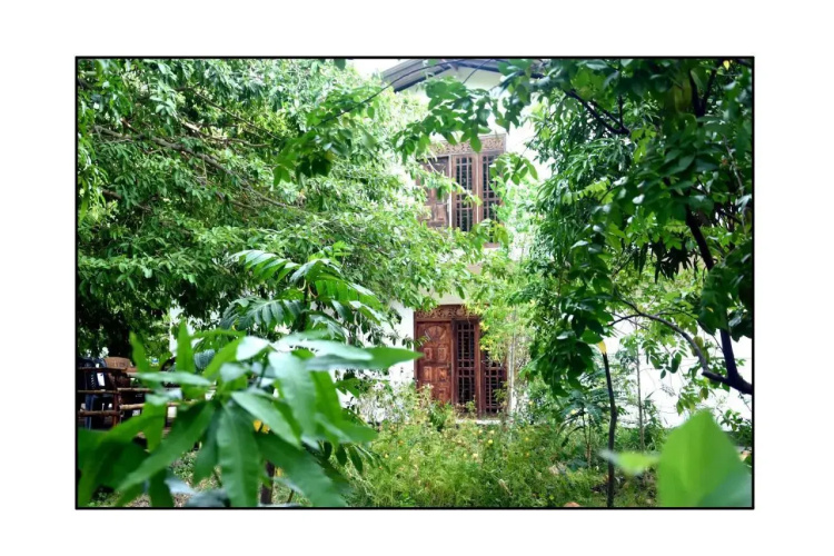 Sun and Green Eco Lodge