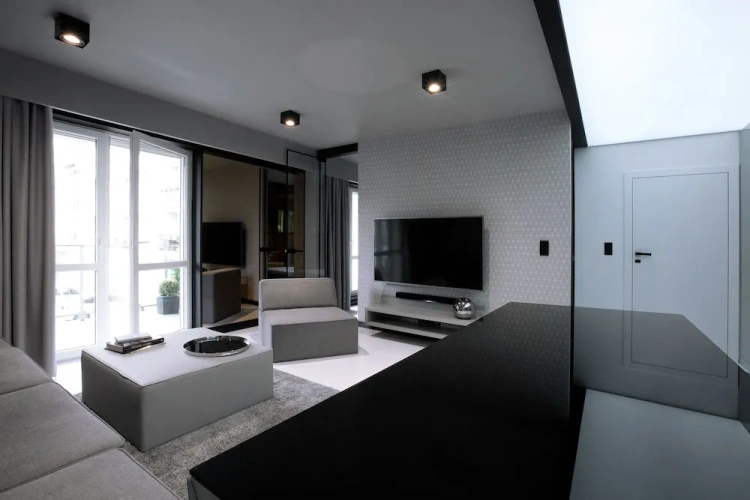 Luxury Apartment