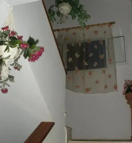Nostos