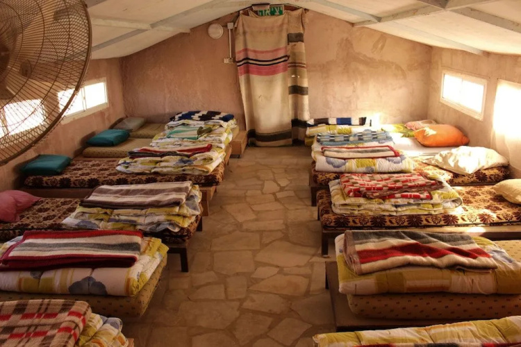 Desert Shade Eco-Camp