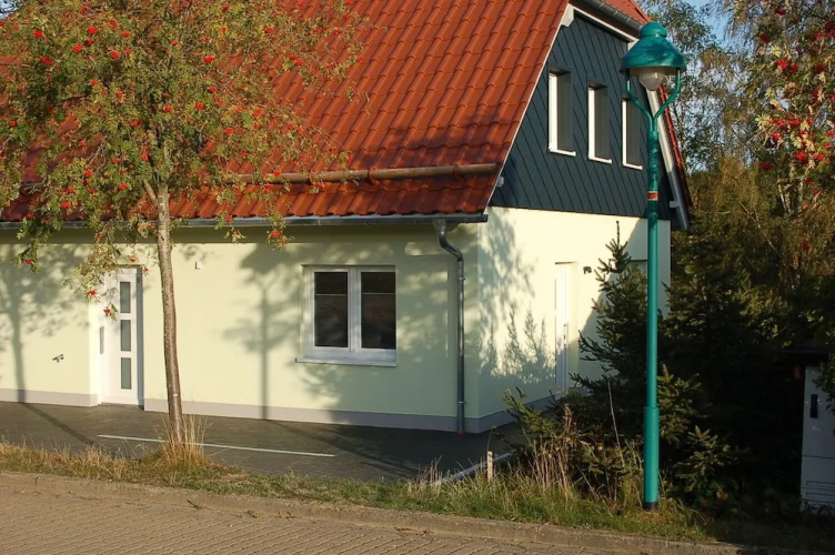 Zaunkönig 1.