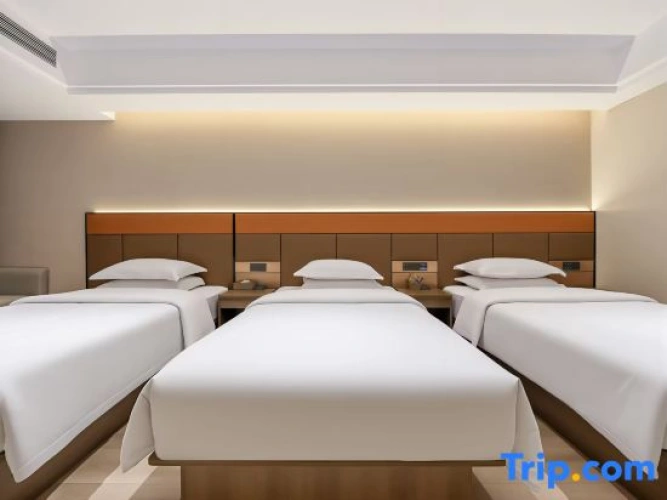 Executive Triple room