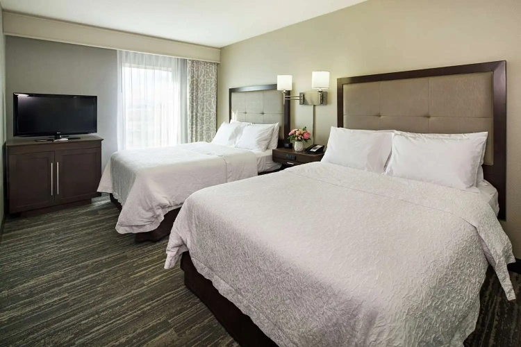 1 Bedroom Suite