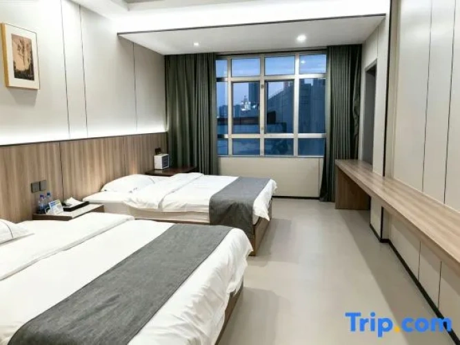 Twin Suite